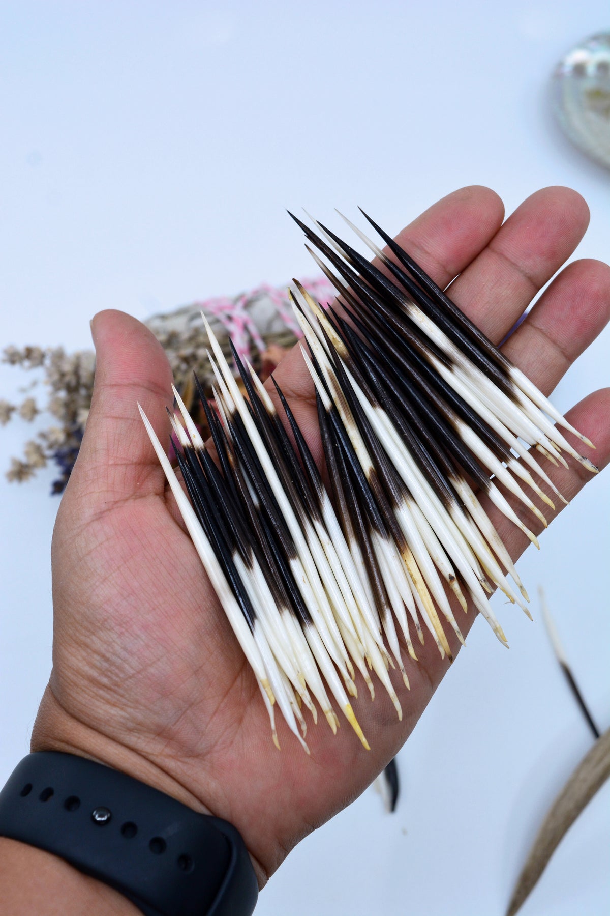 porcupine quill craft